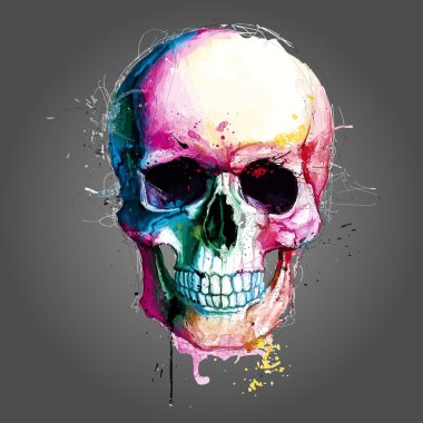 Kafatasının vektör çizimi