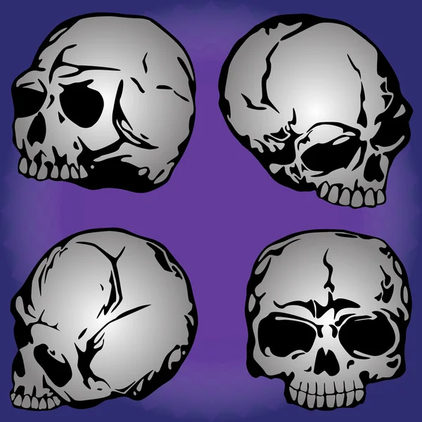 Kafatasının vektör çizimi 