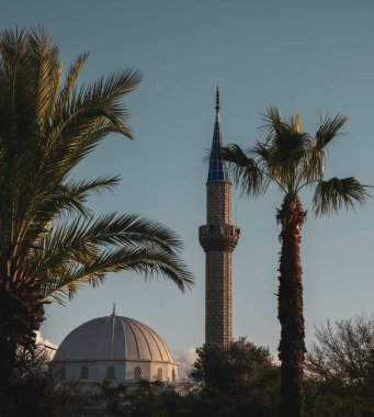 Palmiye ağaçlarının ortasında huzurlu bir cami.