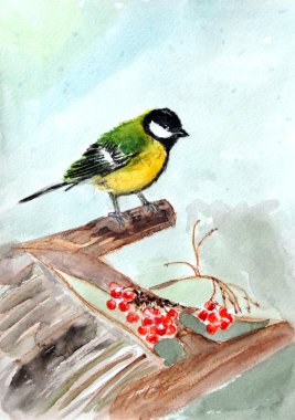 baştankara ağaçta oturuyor