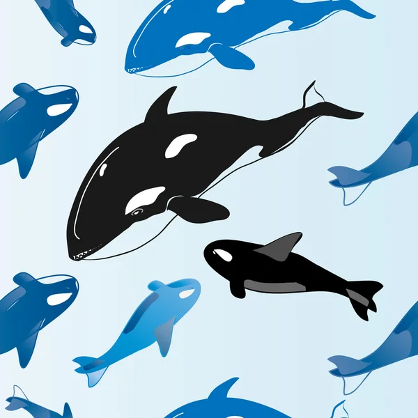 Modèle baleines — Image vectorielle