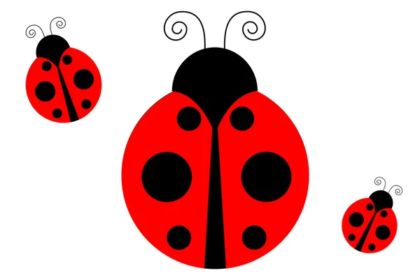 Coccinelle — Image vectorielle