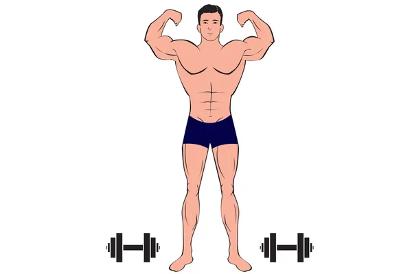 Man and dumbbells — Stock Vector