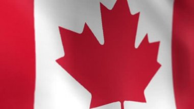 Kanada bayrağı 2
