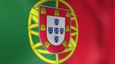 Portekiz bayrağı 2