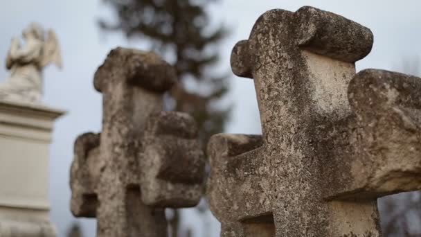 Duas cruzes antigas no velho cemitério — Vídeo de Stock