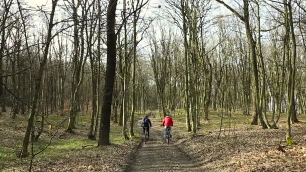 Fietsers rijden in voorjaar bos — Stockvideo