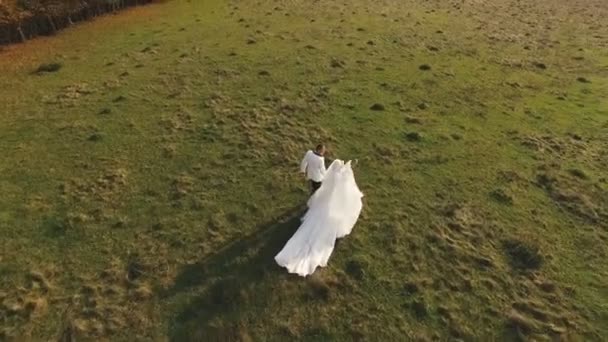 Bruid en bruidegom lopen in park — Stockvideo
