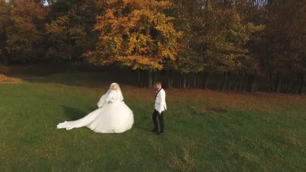 Весільна зустріч наречених і наречених 2 — стокове відео