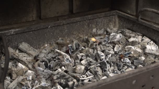 Fogo de chama de carvão — Vídeo de Stock