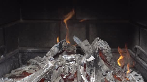 Holzkohlefeuer — Stockvideo