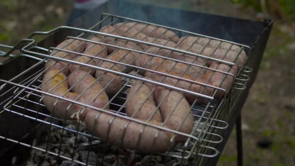 Wurst auf dem Grill im Wald — Stockvideo