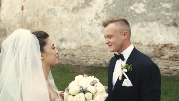 Svatební nevěsta ženich chodit před hradem — Stock video