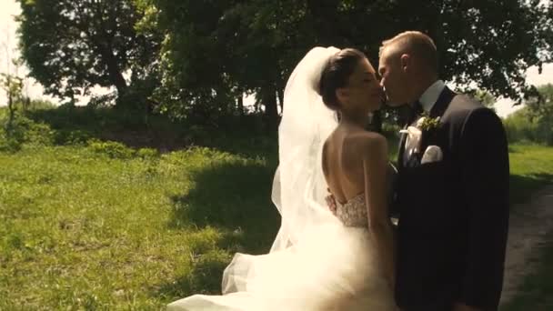 Hochzeit Braut und Bräutigam Park Spaziergang — Stockvideo