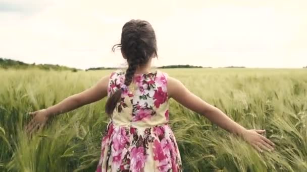 Menina correndo através do campo de trigo — Vídeo de Stock