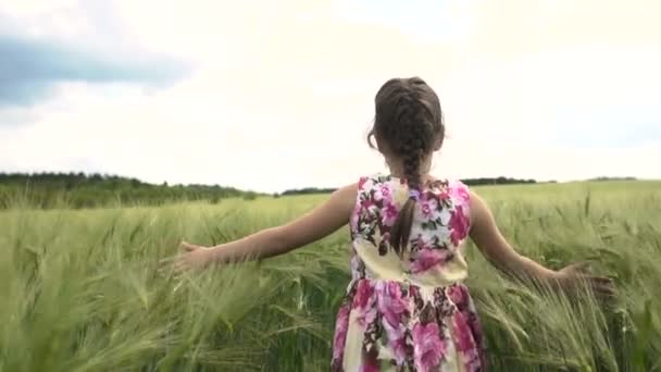 Meisje die dwars over het tarweveld — Stockvideo