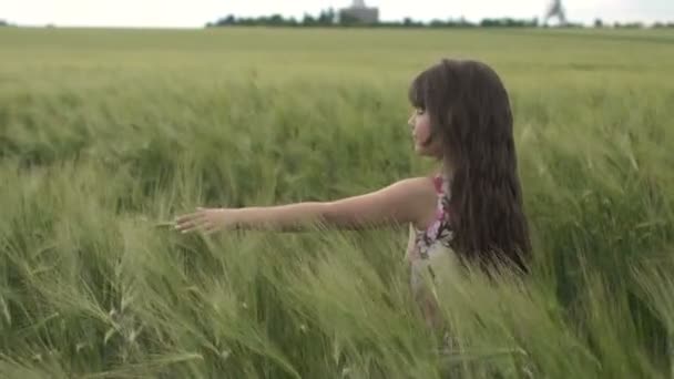 Petite fille marche à travers le champ de blé — Video