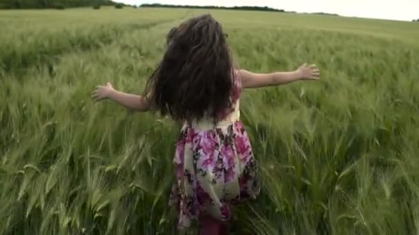 Menina correndo através do campo de trigo — Vídeo de Stock