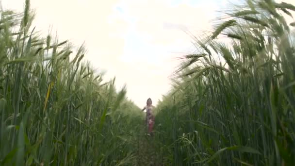Маленькая девочка бежит по пшеничному полю — стоковое видео