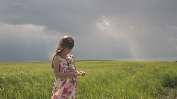 Liten flicka i vete fält — Stockvideo