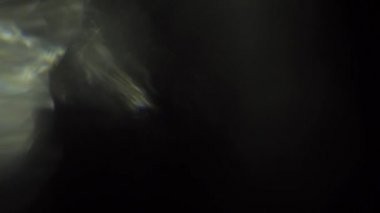 Siyah arka plan üzerinde hafif kaçakları