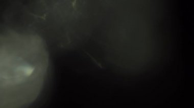 Siyah arka plan üzerinde hafif kaçakları