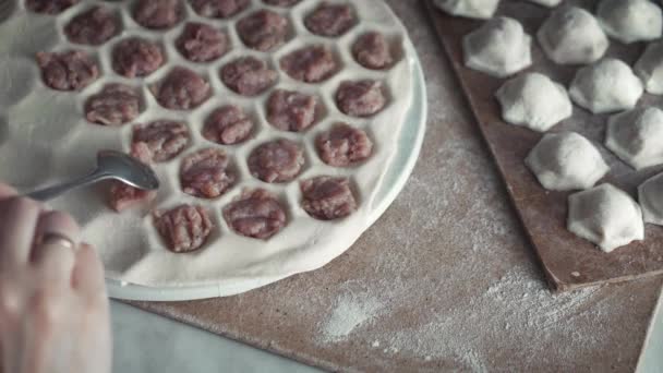 Caseiro Dumplings Making — Vídeo de Stock