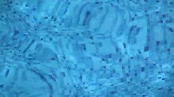 Mosaico piscina ladrillos a través del agua — Vídeo de stock