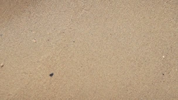 Reflejo del sol en superficie marina — Vídeos de Stock