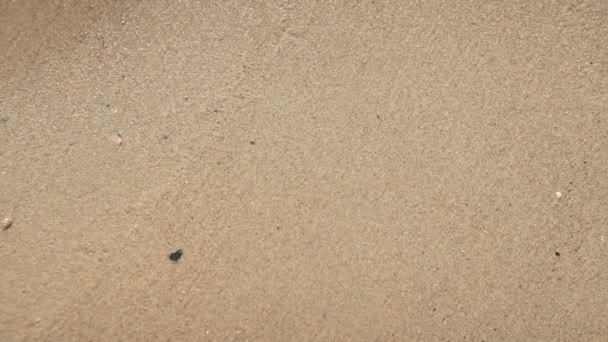 Réflexion solaire sur la surface de la mer
