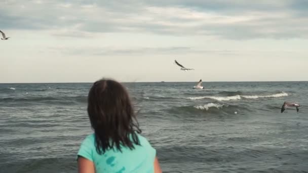 Chica alimenta gaviotas en la costa — Vídeos de Stock