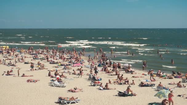 Personas en la playa de la costa del mar — Vídeo de stock