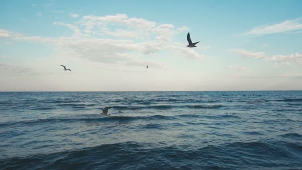 Sun reflection on sea surface — Stock Video