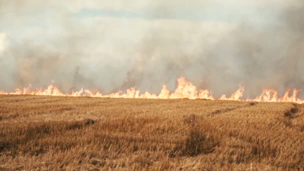 Champ fumé brûlant 