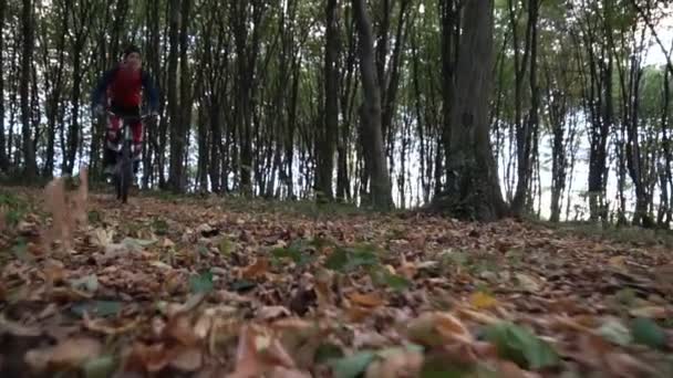 Motociclista andare in bicicletta nella foresta — Video Stock