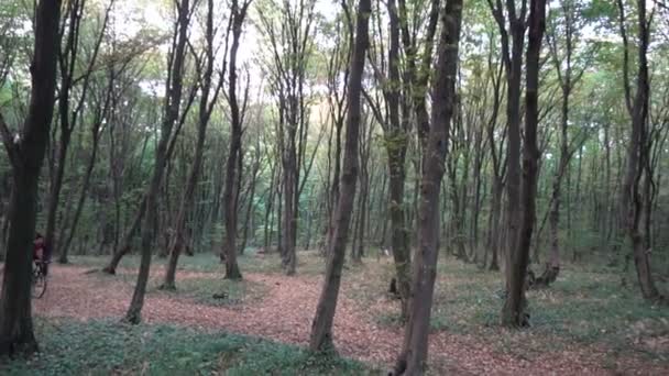 Motociclista andare in bicicletta nella foresta — Video Stock