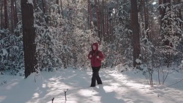 Žena s batohem kráčející po zasněženém lese — Stock video