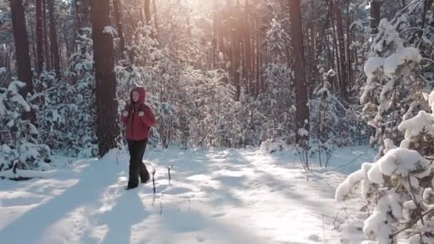 Aktivní žena turistika s batohem na zasněženém lese — Stock video