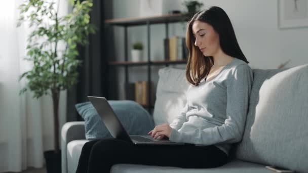 Freelancer usando laptop no sofá — Vídeo de Stock