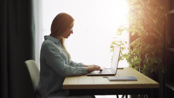 Frau arbeitet am Laptop — Stockvideo