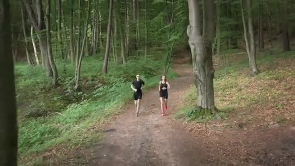 自然の中でスポーティカップルジョギング — ストック動画