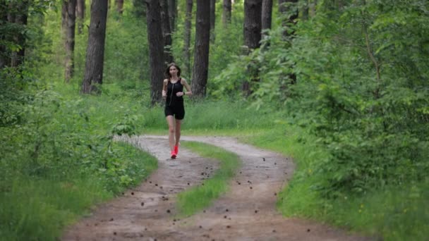 Vrouwenpad dat op de natuur loopt — Stockvideo