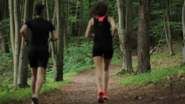 Pár běžící v lese — Stock video
