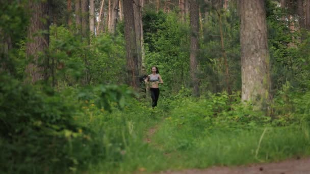 Twee atleten joggen in het bos — Stockvideo