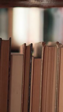 Bir öğrenci kütüphanesinde çeşitli kitaplarla dolu bir raf keşfedin. Düzenlemede keşfedilmeyi bekleyen çeşitli türler ve hikayeler sergileniyor..