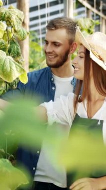 Bir çift, yemyeşil bir ortamda salatalıklarına gülerek ve onlarla ilgilenerek seralarını keşfeder.