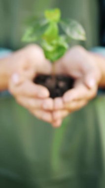 Bir adam küçük bir bitkiyi dikkatlice elinde tutarak doğadaki büyümesini ve önemini gösterir.