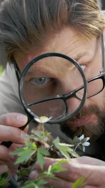 Orman bölgesinde bir büyüteç kullanarak küçük bitkileri yakından inceler.