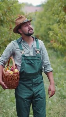 Meyve toplarken elinde bir sepet şeftali tutan bir adam var..