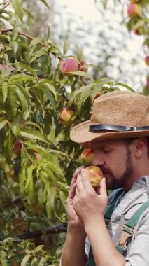 Bir adam gün boyunca bahçedeki bitkilerin arasında dikilirken şeftalinin tadına bakar..